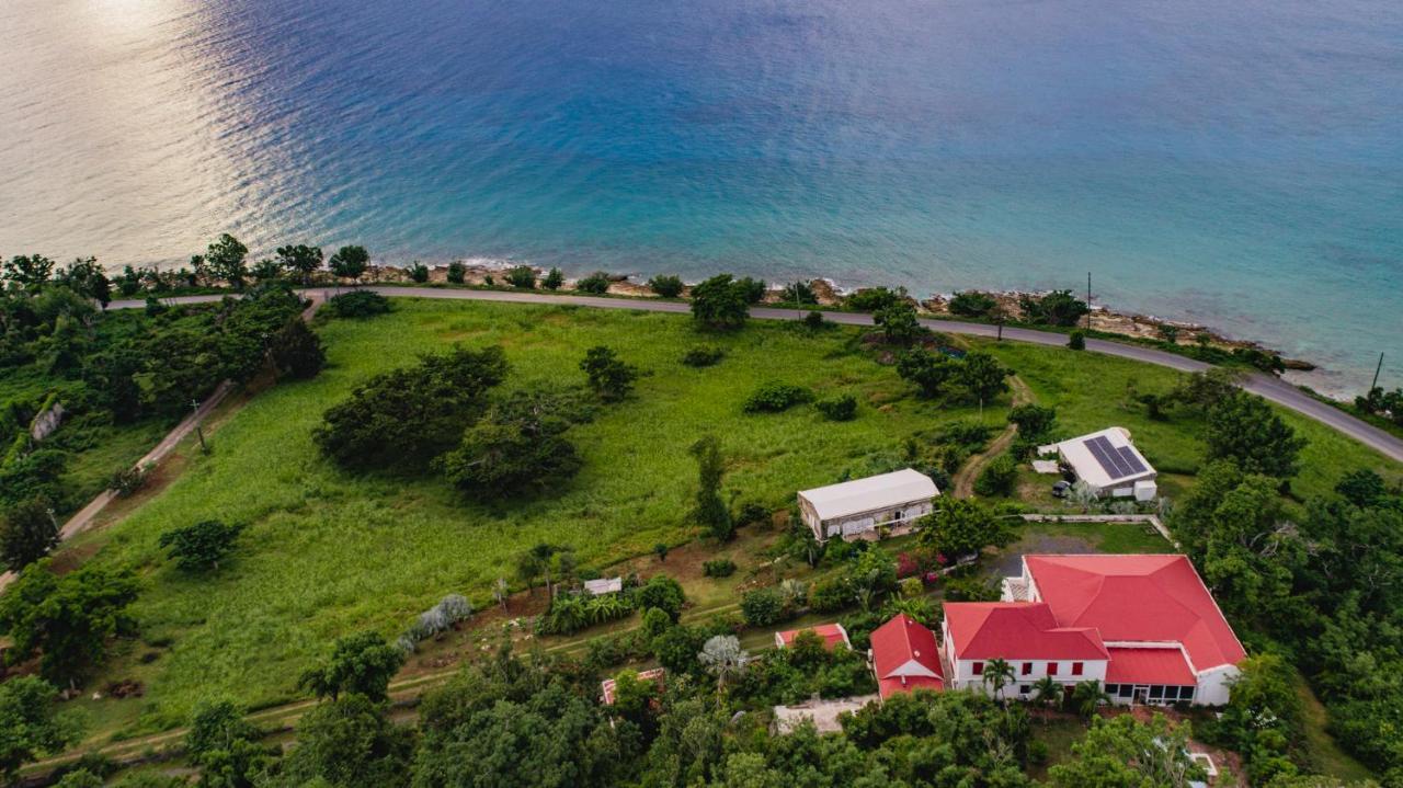 Feather Leaf Inn Frederiksted Exteriör bild